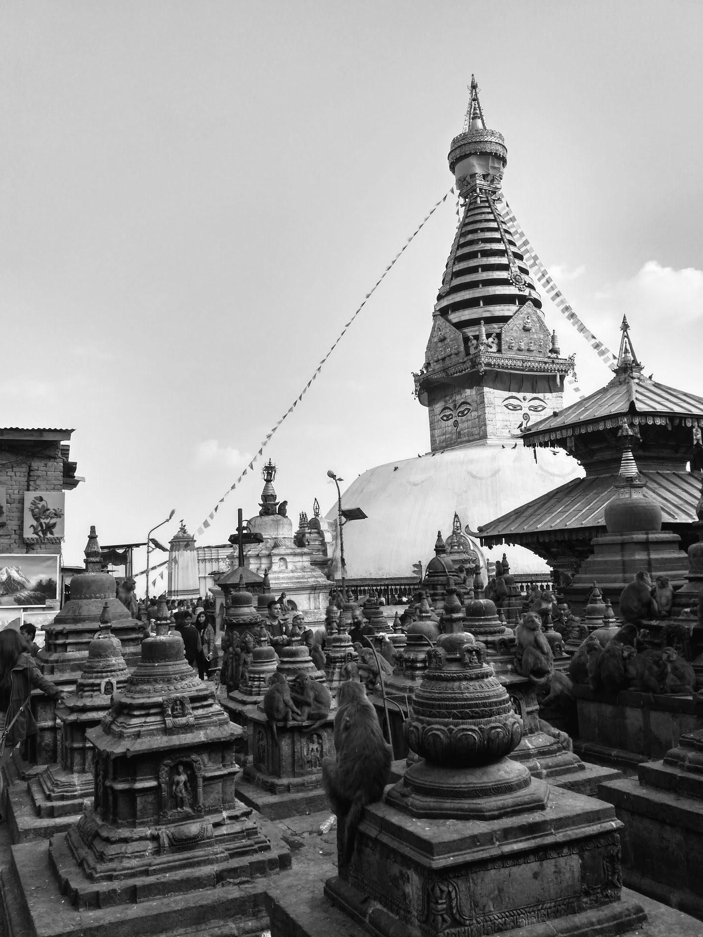 Picture of the author